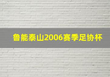 鲁能泰山2006赛季足协杯