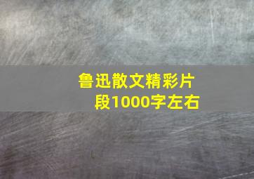 鲁迅散文精彩片段1000字左右