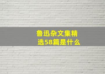 鲁迅杂文集精选58篇是什么