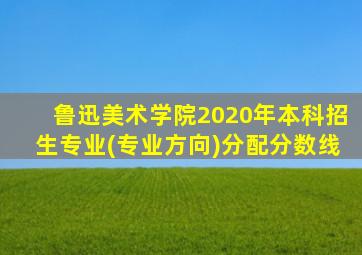 鲁迅美术学院2020年本科招生专业(专业方向)分配分数线