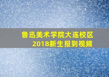 鲁迅美术学院大连校区2018新生报到视频