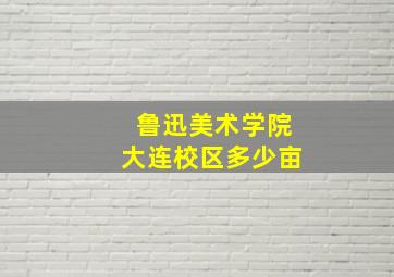 鲁迅美术学院大连校区多少亩