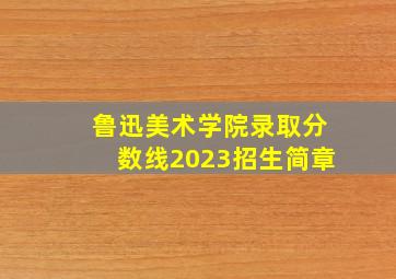 鲁迅美术学院录取分数线2023招生简章