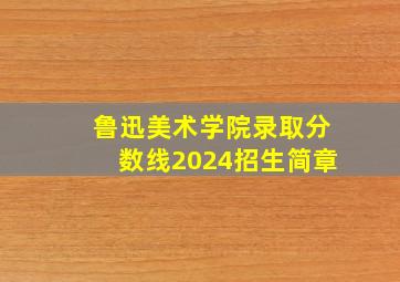 鲁迅美术学院录取分数线2024招生简章