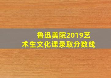 鲁迅美院2019艺术生文化课录取分数线