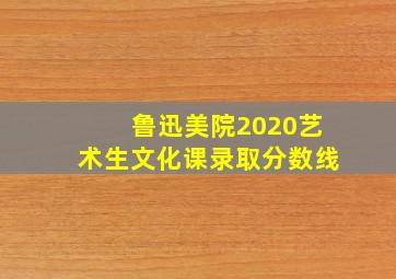 鲁迅美院2020艺术生文化课录取分数线