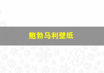 鲍勃马利壁纸