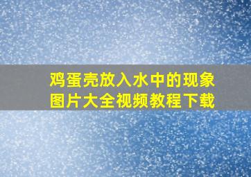 鸡蛋壳放入水中的现象图片大全视频教程下载