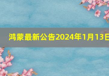 鸿蒙最新公告2024年1月13日