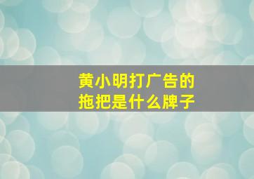 黄小明打广告的拖把是什么牌子