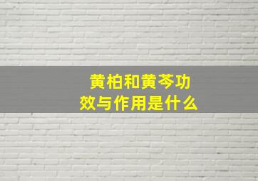 黄柏和黄芩功效与作用是什么