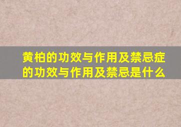 黄柏的功效与作用及禁忌症的功效与作用及禁忌是什么