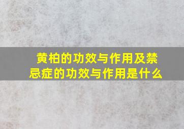 黄柏的功效与作用及禁忌症的功效与作用是什么