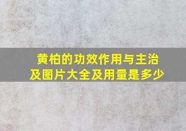 黄柏的功效作用与主治及图片大全及用量是多少