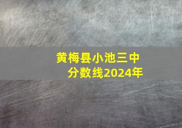 黄梅县小池三中分数线2024年