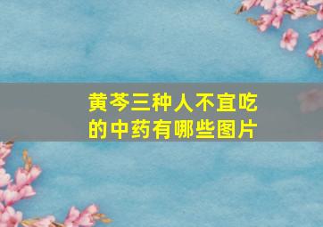 黄芩三种人不宜吃的中药有哪些图片