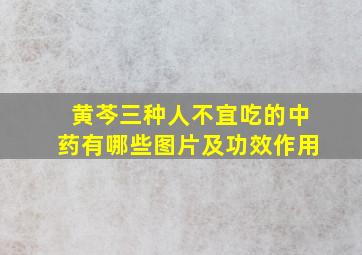 黄芩三种人不宜吃的中药有哪些图片及功效作用