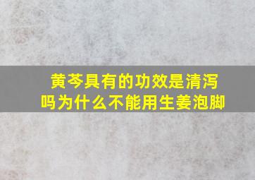 黄芩具有的功效是清泻吗为什么不能用生姜泡脚