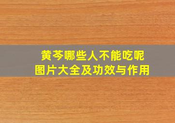 黄芩哪些人不能吃呢图片大全及功效与作用