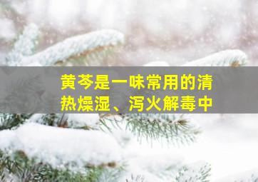 黄芩是一味常用的清热燥湿、泻火解毒中