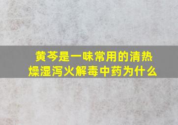 黄芩是一味常用的清热燥湿泻火解毒中药为什么