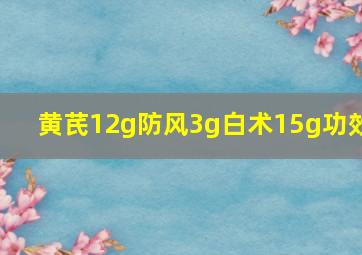 黄芪12g防风3g白术15g功效