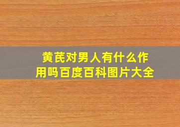 黄芪对男人有什么作用吗百度百科图片大全