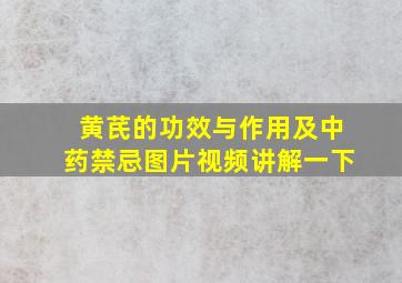 黄芪的功效与作用及中药禁忌图片视频讲解一下