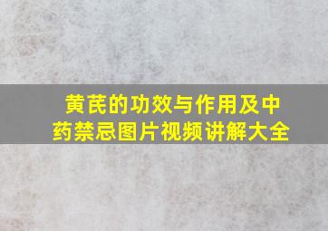 黄芪的功效与作用及中药禁忌图片视频讲解大全