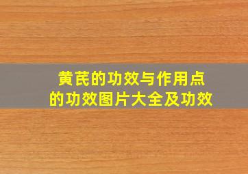 黄芪的功效与作用点的功效图片大全及功效