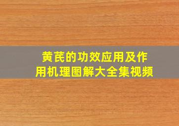 黄芪的功效应用及作用机理图解大全集视频