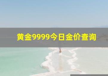 黄金9999今日金价查询