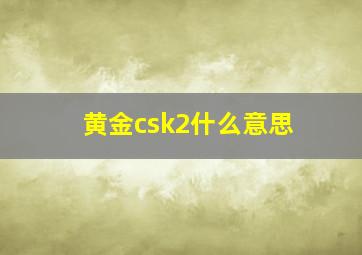 黄金csk2什么意思