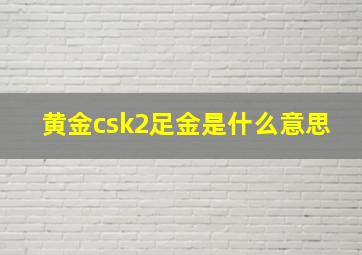 黄金csk2足金是什么意思