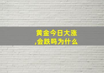 黄金今日大涨,会跌吗为什么