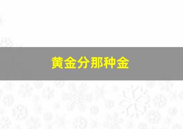 黄金分那种金