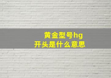 黄金型号hg开头是什么意思