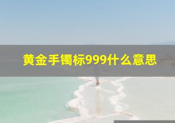 黄金手镯标999什么意思