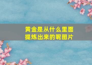 黄金是从什么里面提炼出来的呢图片