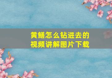 黄鳝怎么钻进去的视频讲解图片下载