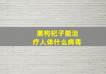 黑枸杞子能治疗人体什么病毒