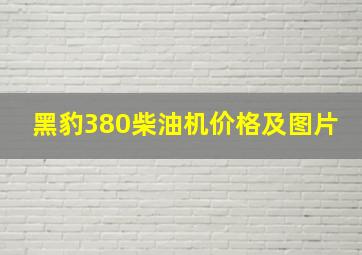 黑豹380柴油机价格及图片