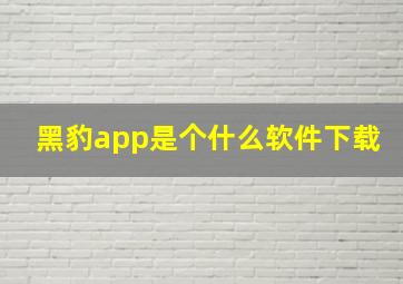 黑豹app是个什么软件下载