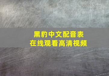 黑豹中文配音表在线观看高清视频