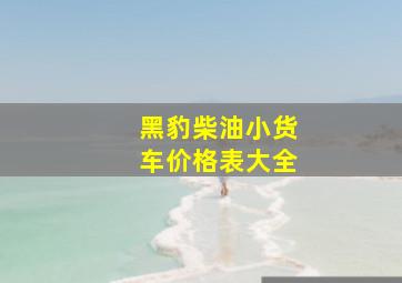 黑豹柴油小货车价格表大全