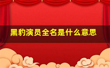 黑豹演员全名是什么意思