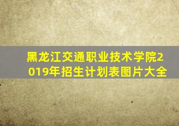 黑龙江交通职业技术学院2019年招生计划表图片大全