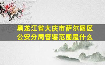 黑龙江省大庆市萨尔图区公安分局管辖范围是什么